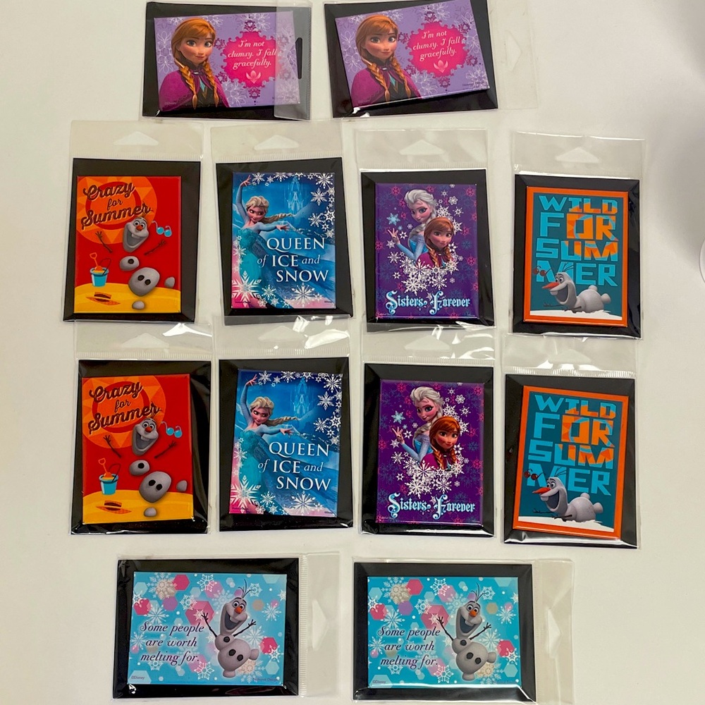 Frozen Themed magnetic cards set of 12